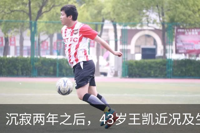 沉寂两年之后，43岁王凯近况及生活转变揭晓