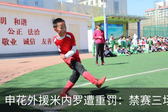申花外援米内罗遭重罚：禁赛三场及罚款1.5万元